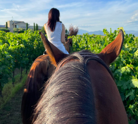 escursione a cavallo